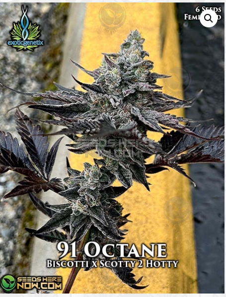 An image of 91 Octane