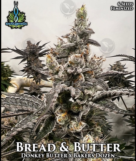 An image of Bread & Butter