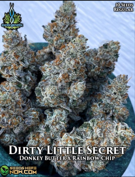 An image of Dirty Little Secret