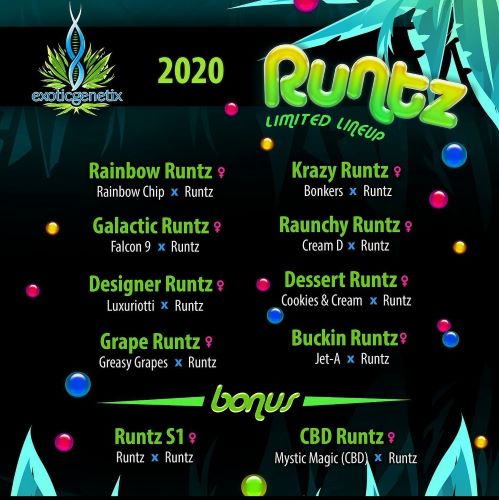 An image of Galactic Runtz