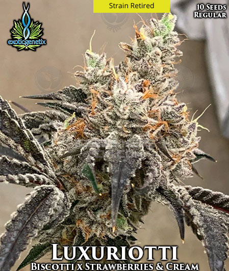 An image of Luxuriotti