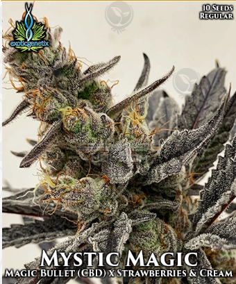 An image of Mystic Magic
