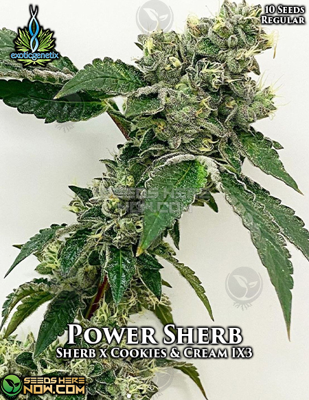 An image of Power Sherb