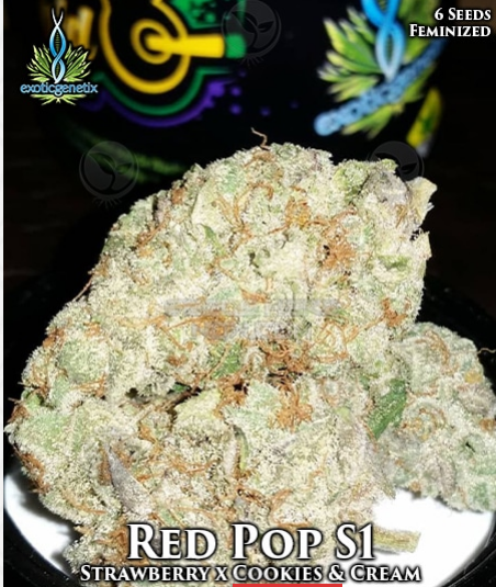 An image of Red Pop