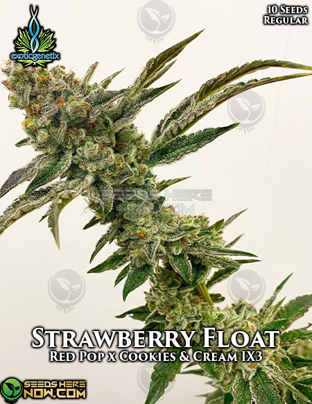 An image of Strawberry Float