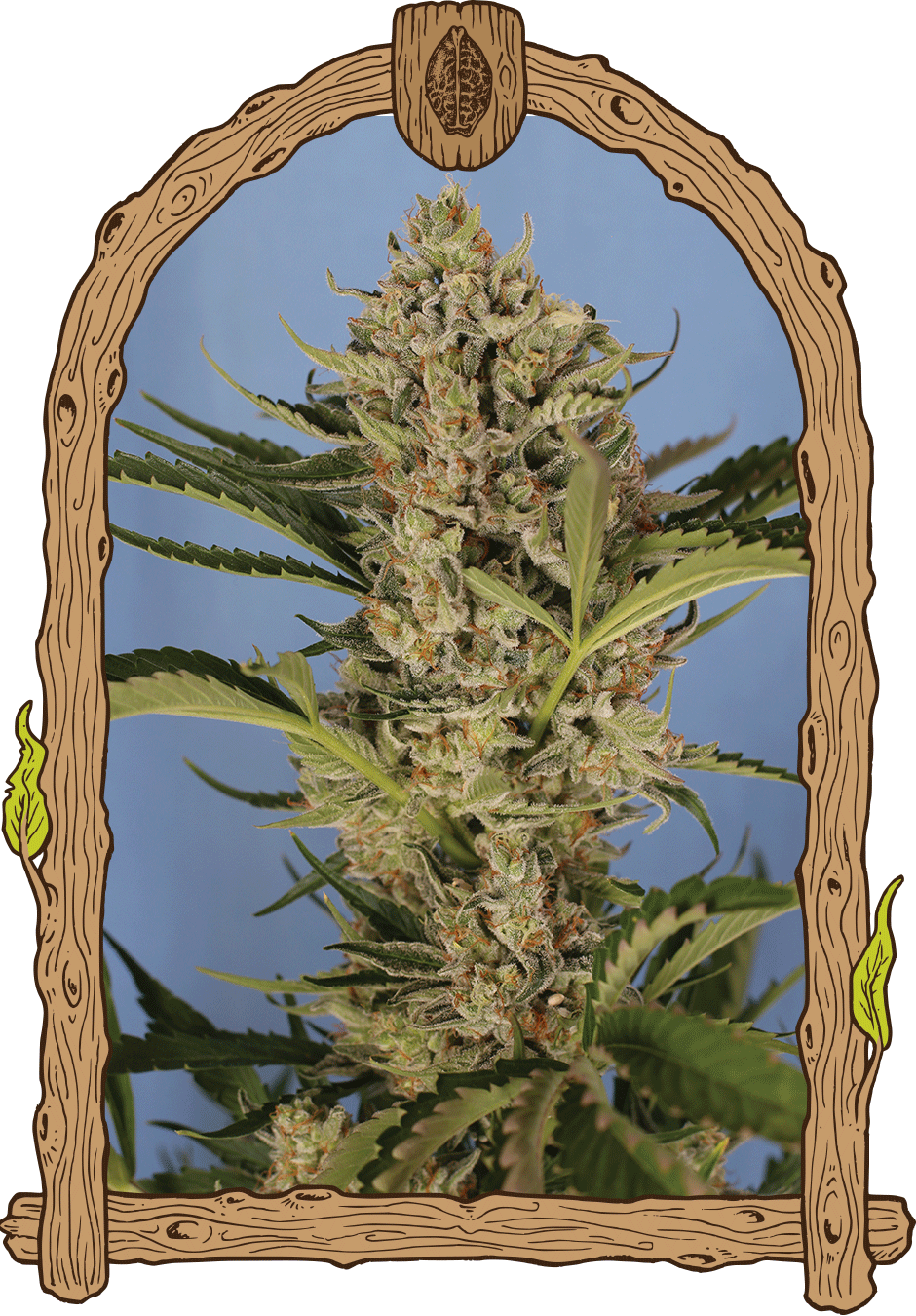 An image of Herz OG Auto