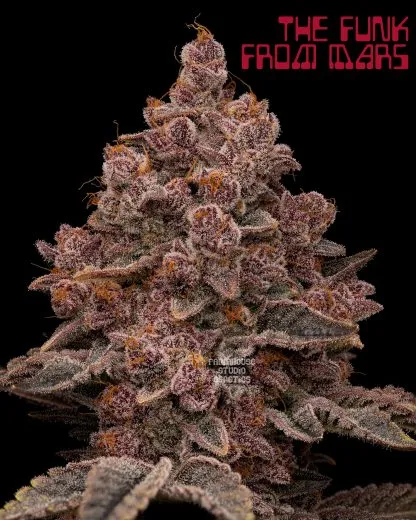 An image of The Funk From Mars