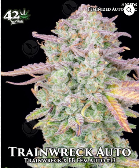 An image of Trainwreck Auto
