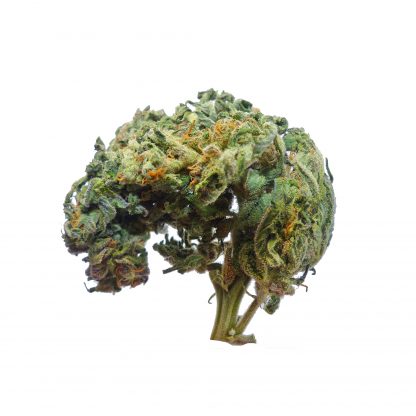 An image of Big Bud Auto