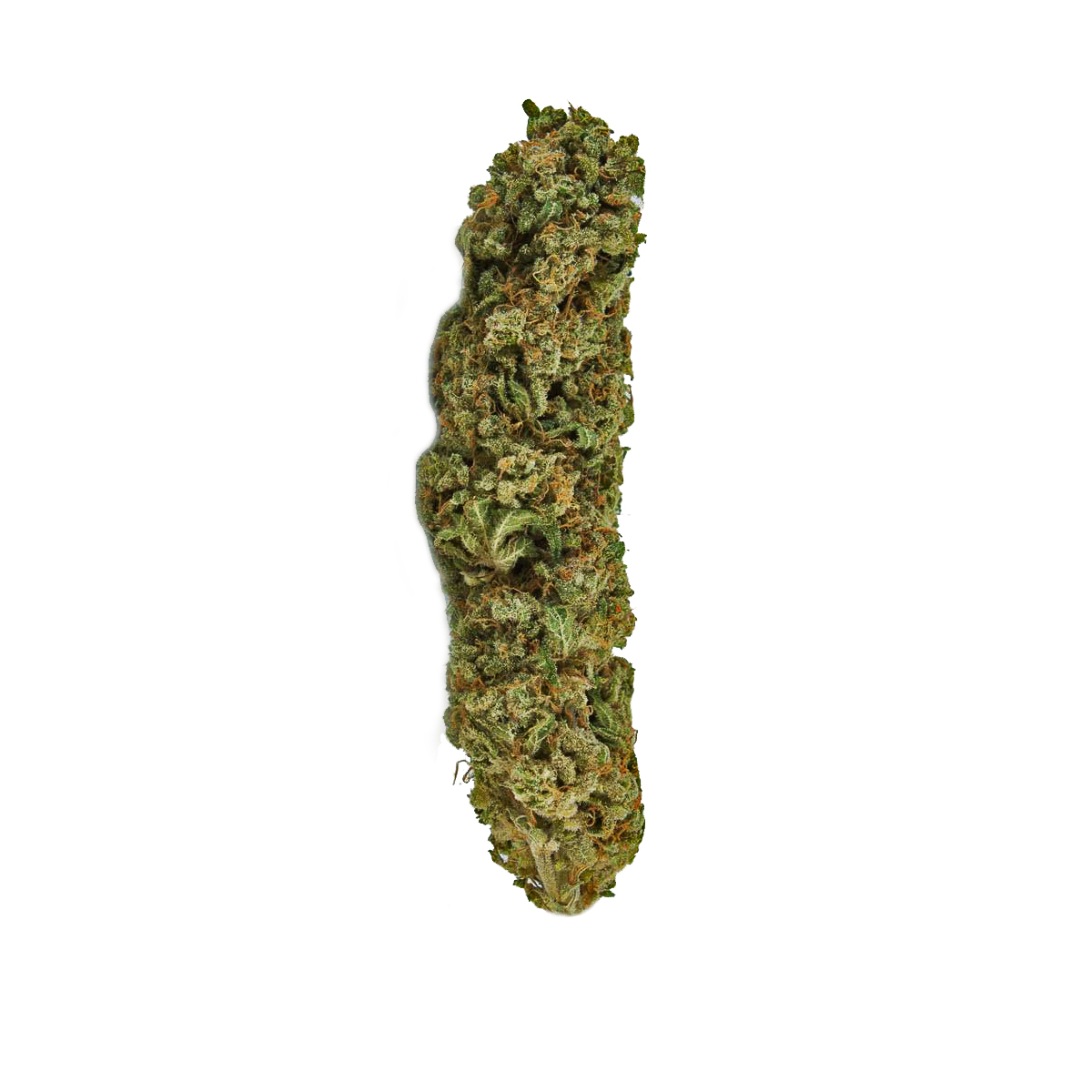 An image of Brooklyn Diesel Autoflowering