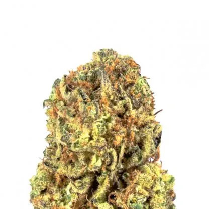 An image of Diesel