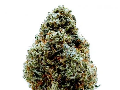 An image of Gorilla Glue
