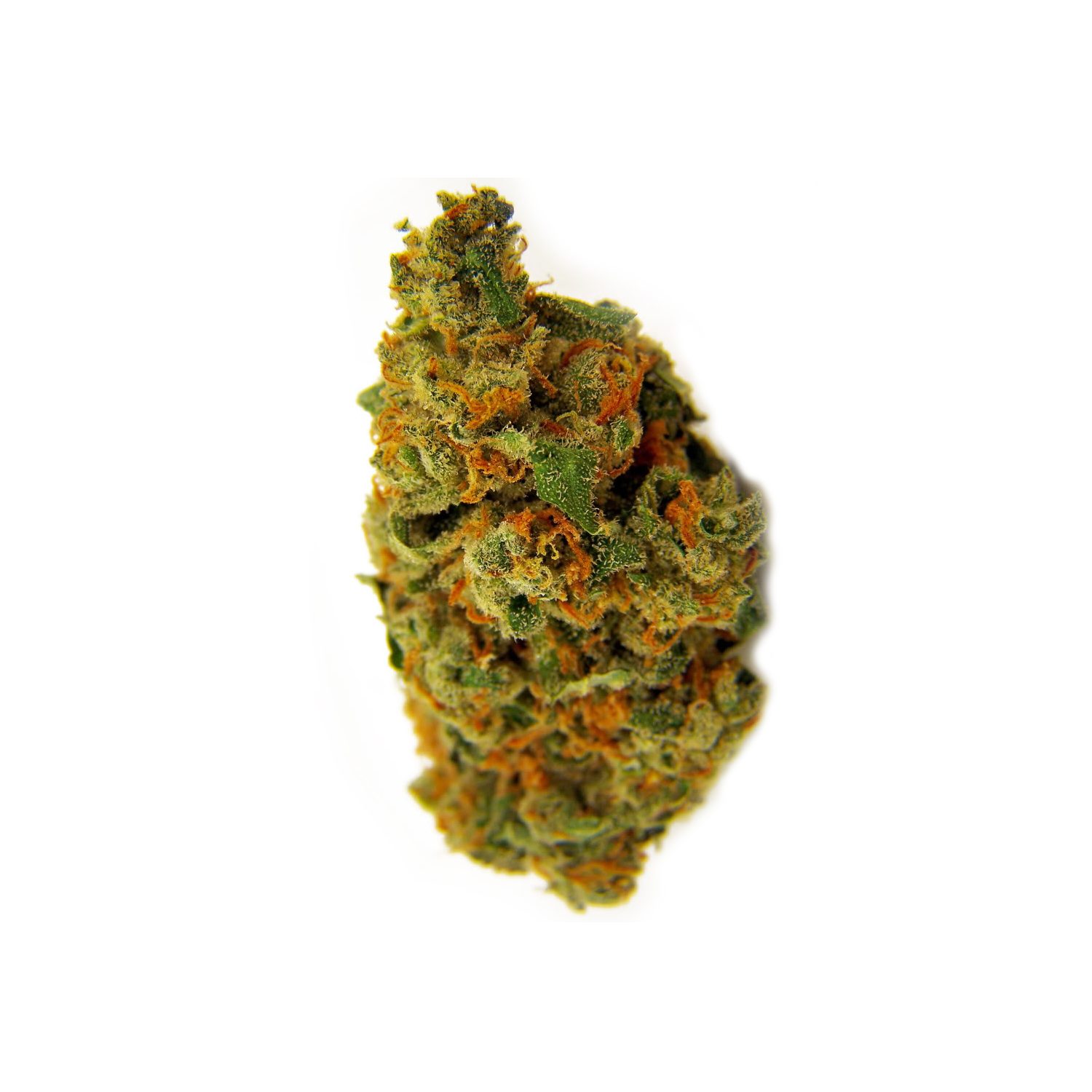 An image of Jack Herer Autoflowering