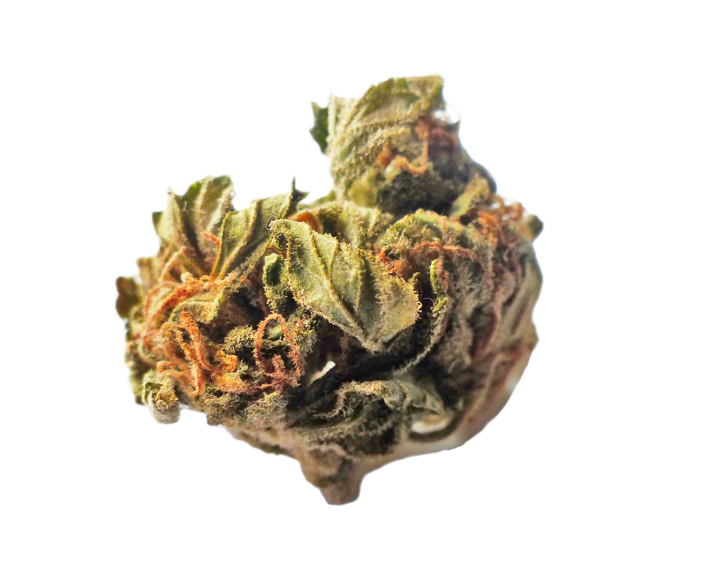 An image of Super Silver Haze