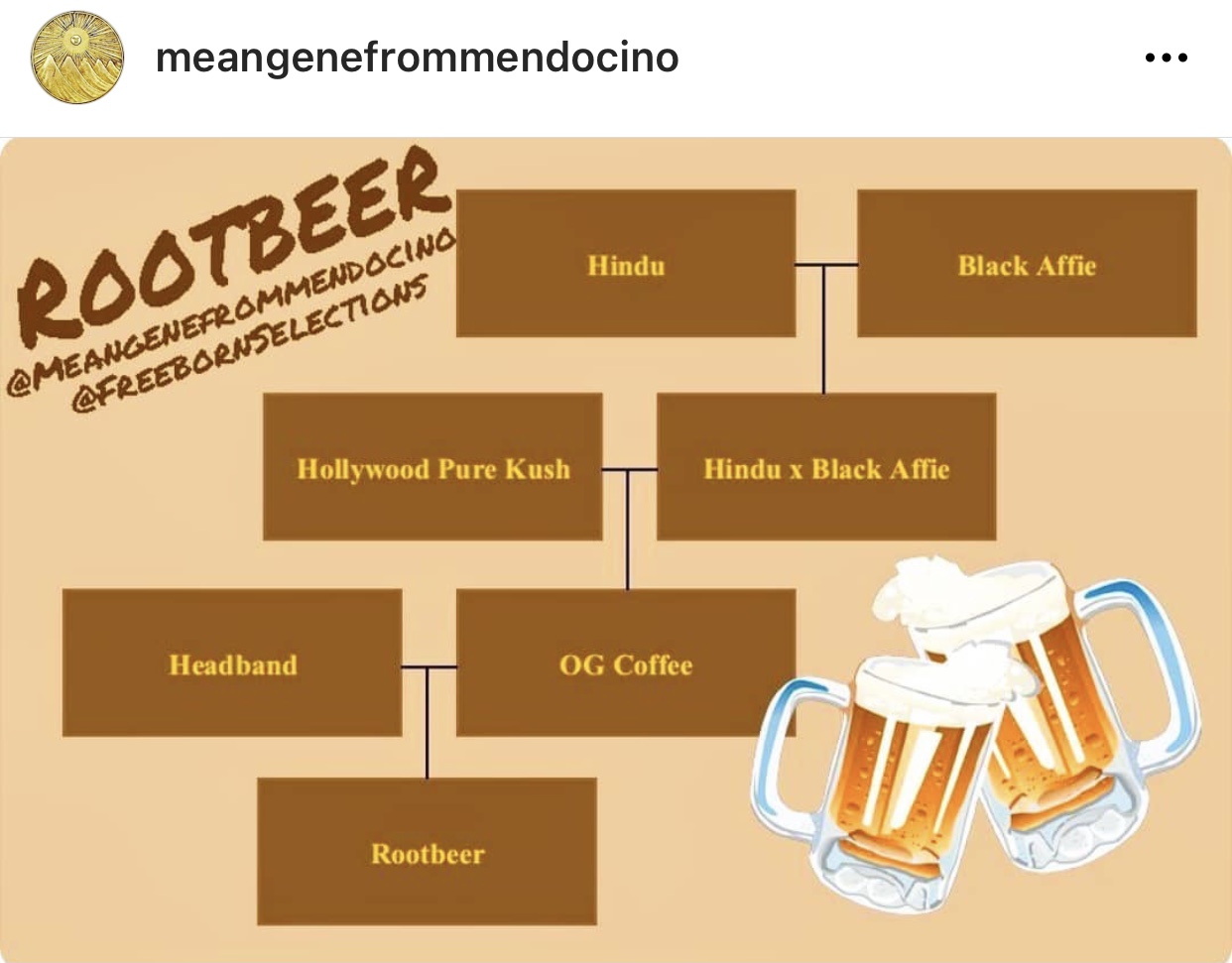 An image of Rootbeer