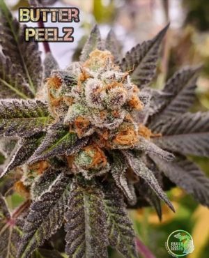 An image of Butter Peelz