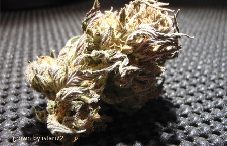 An image of White Funk