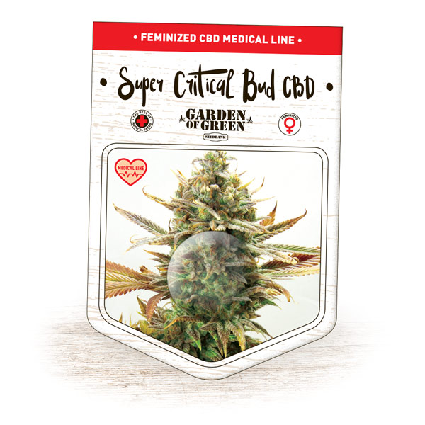 An image of Super Critical Bud CBD