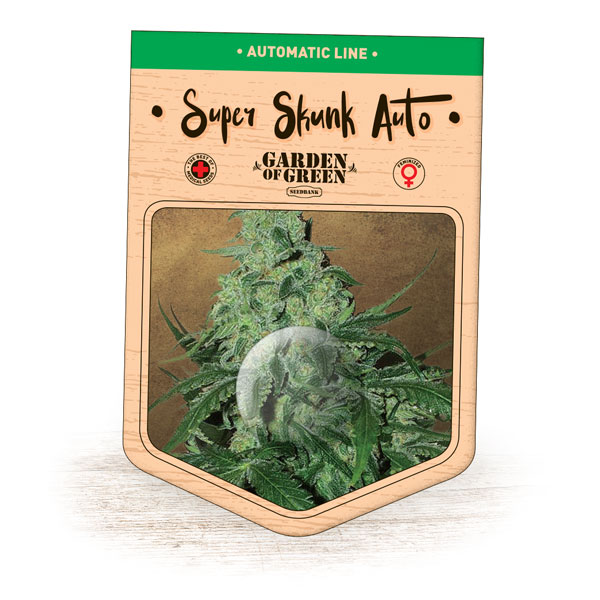 An image of Super Skunk Auto
