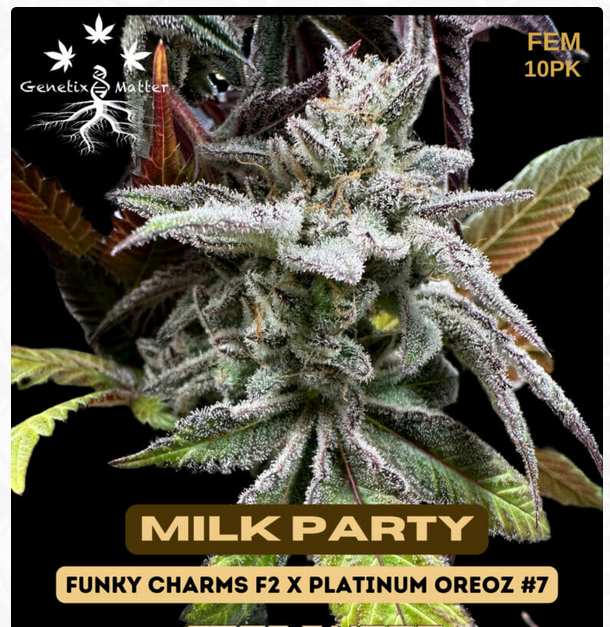An image of Milk Party