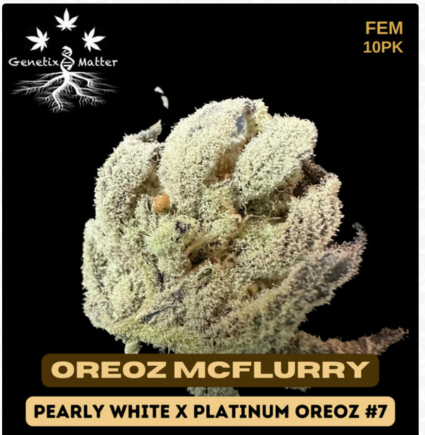 An image of Oreoz McFlurry