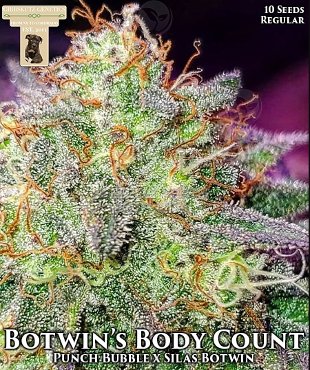 An image of Botwin’s Body Count
