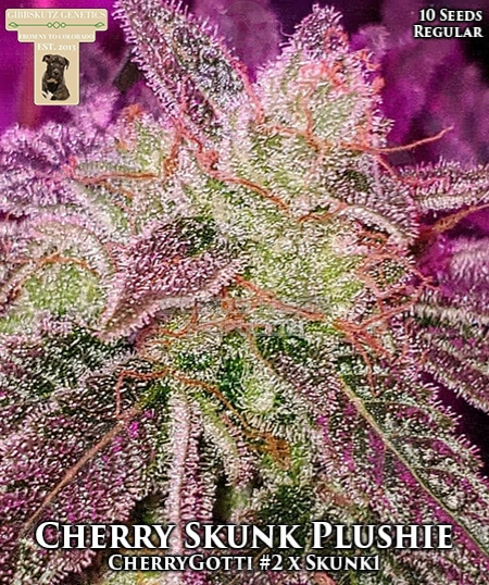 An image of Cherry Skunk Plushie