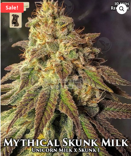 An image of Mythical Skunk Milk