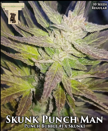 An image of Skunk Punch Man