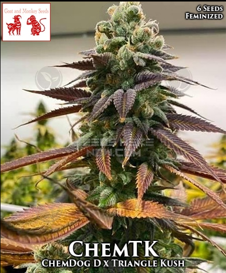 An image of ChemTK