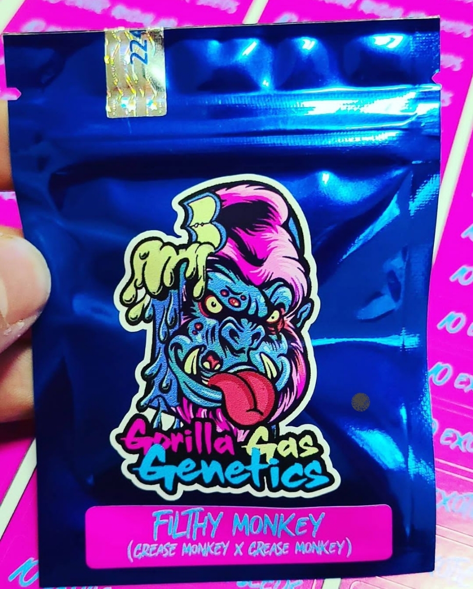 An image of Filthy Monkey