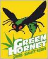 An image of Jungel Jerrys Haze