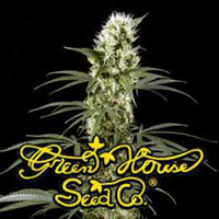 An image of Super Silver Haze