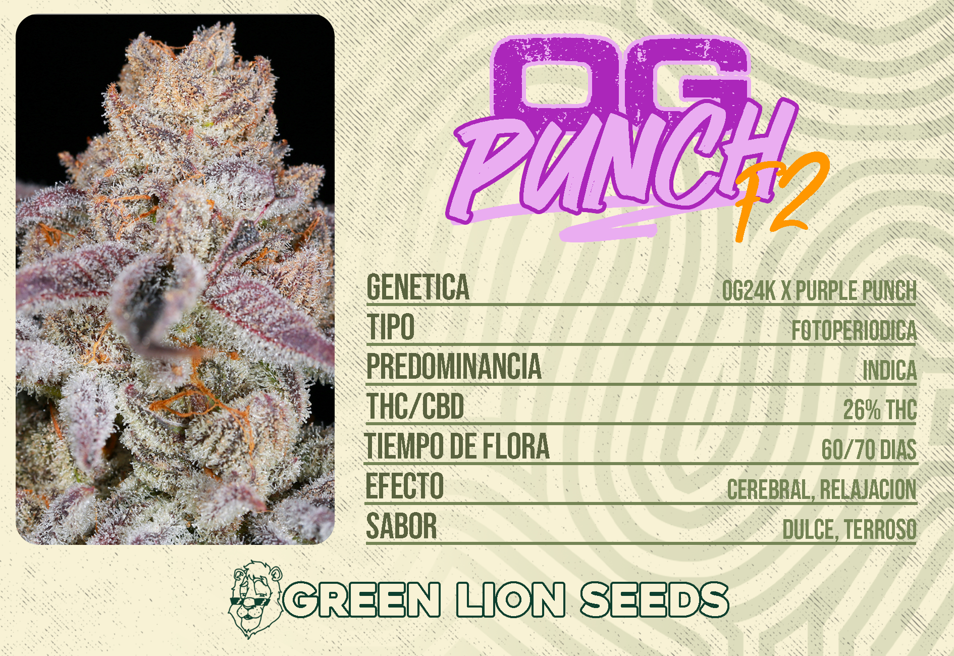An image of OG Punch