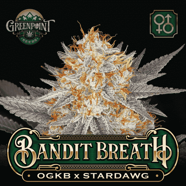 An image of Bandit Breath