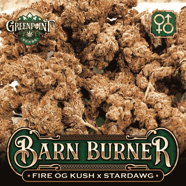 An image of Barn Burner