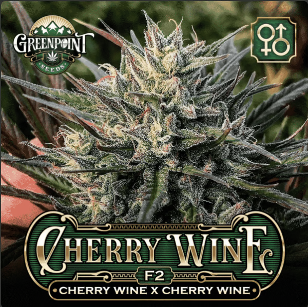 An image of Cherry Wine F2