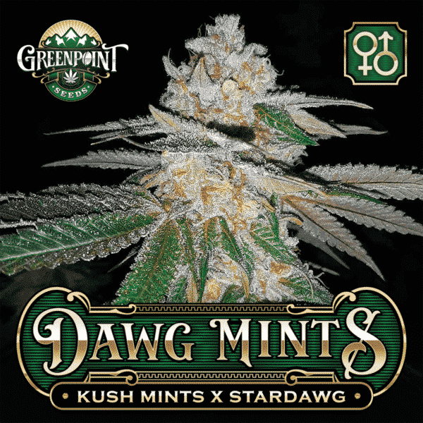 An image of Dawg Mints