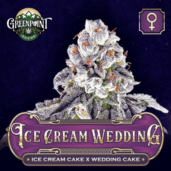 An image of Ice Cream Wedding