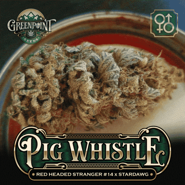 An image of Pig Whistle