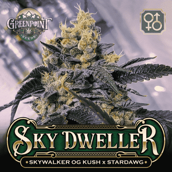 An image of Sky Dweller