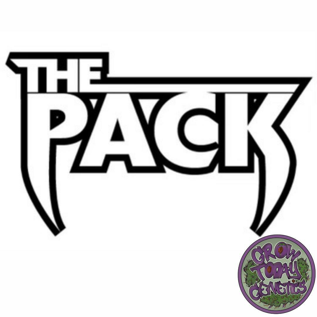 An image of The Pack