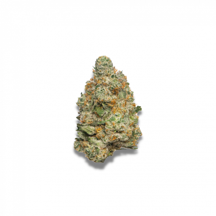 An image of Apple Fritter Autoflower