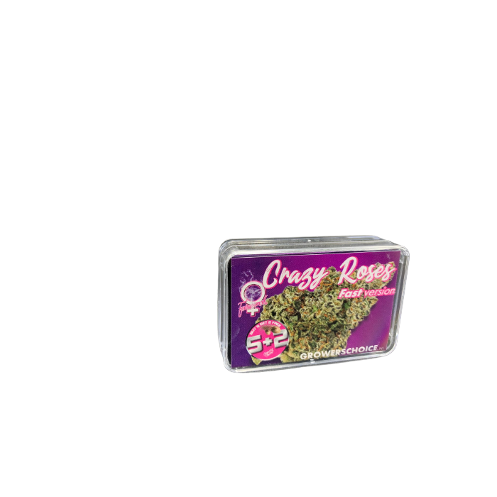 An image of Crazy Roses Fast Version