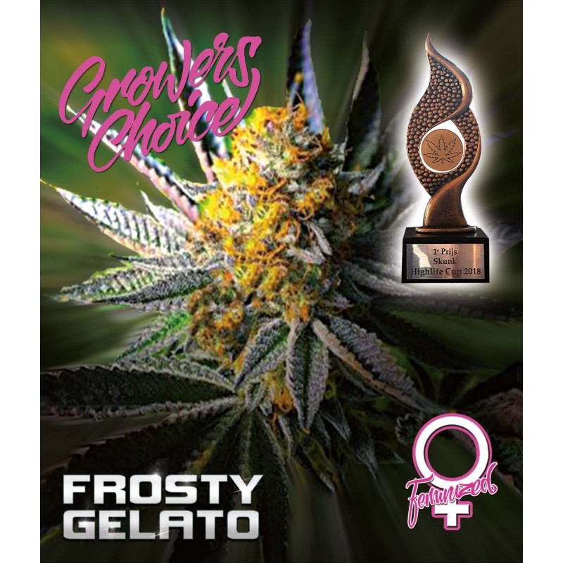 An image of Frosty Gelato