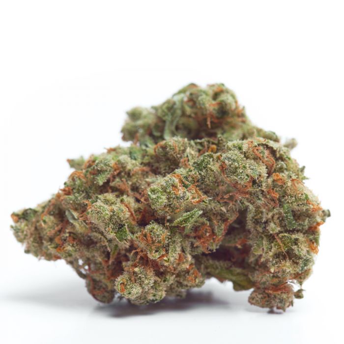 An image of Gorilla Cookies Autoflower