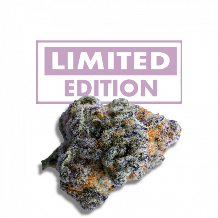 An image of Platinum Mimosa Cookies Double XL Autoflower