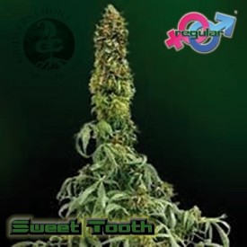 An image of Sweet Tooth
