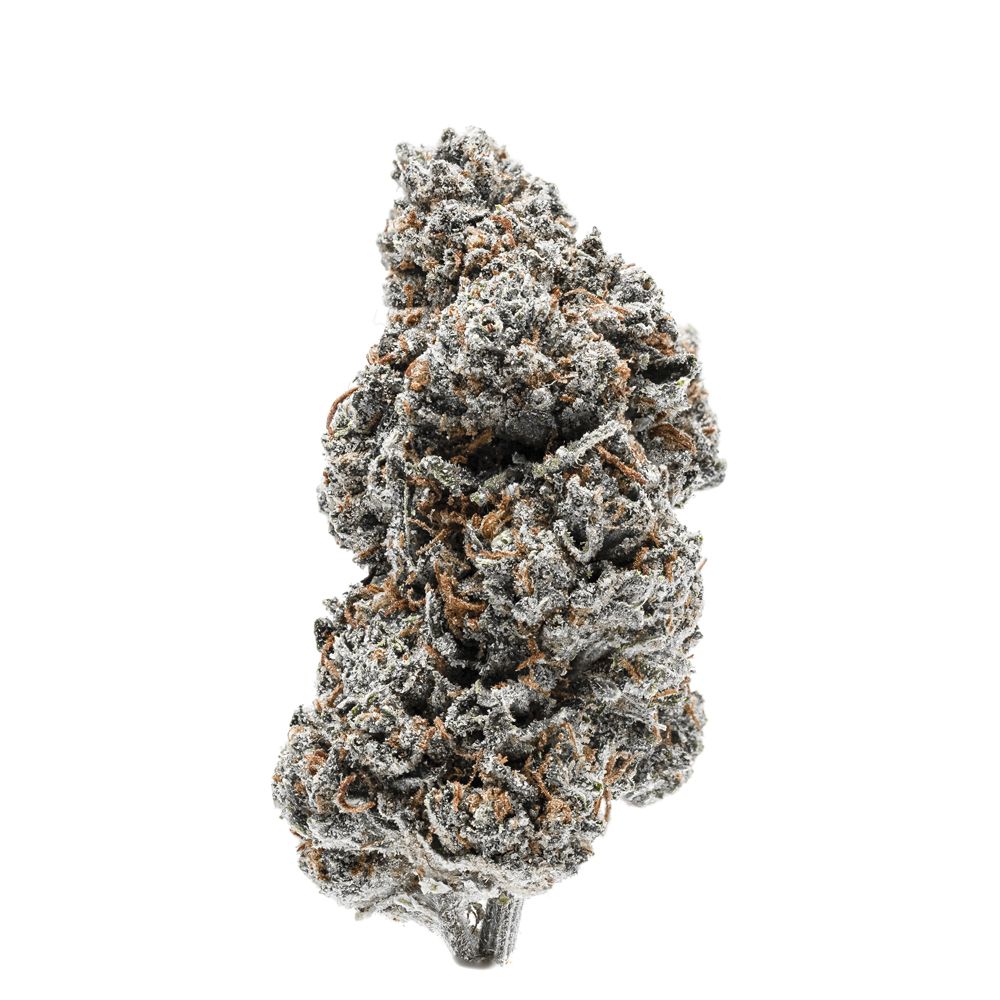 An image of Tangerine Sherbet