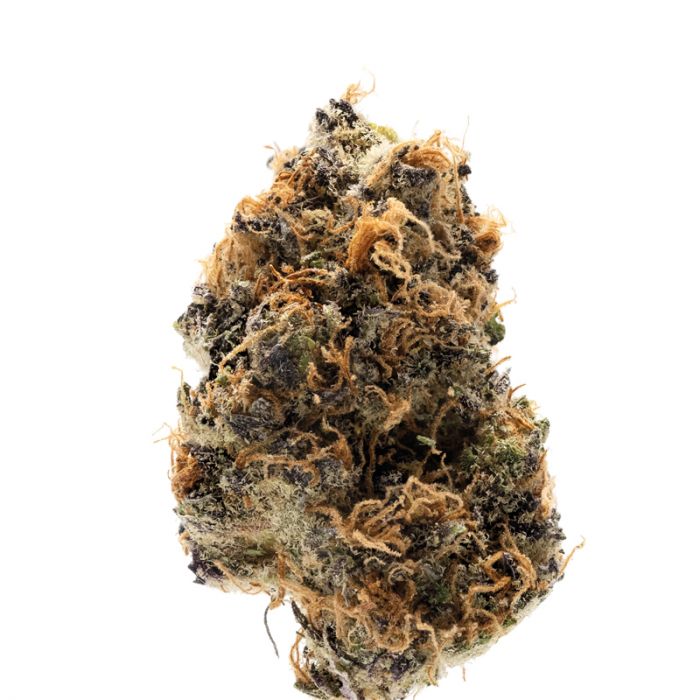 An image of Watermelon Punch Autoflower